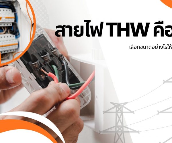 สายไฟ THW คืออะไร? เลือกขนาดอย่างไรให้ถูกและปลอดภัย | ณิชชาเจริญยิ่ง