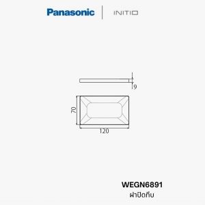 ฝาปิดทึบ Panasonic WEGN6891